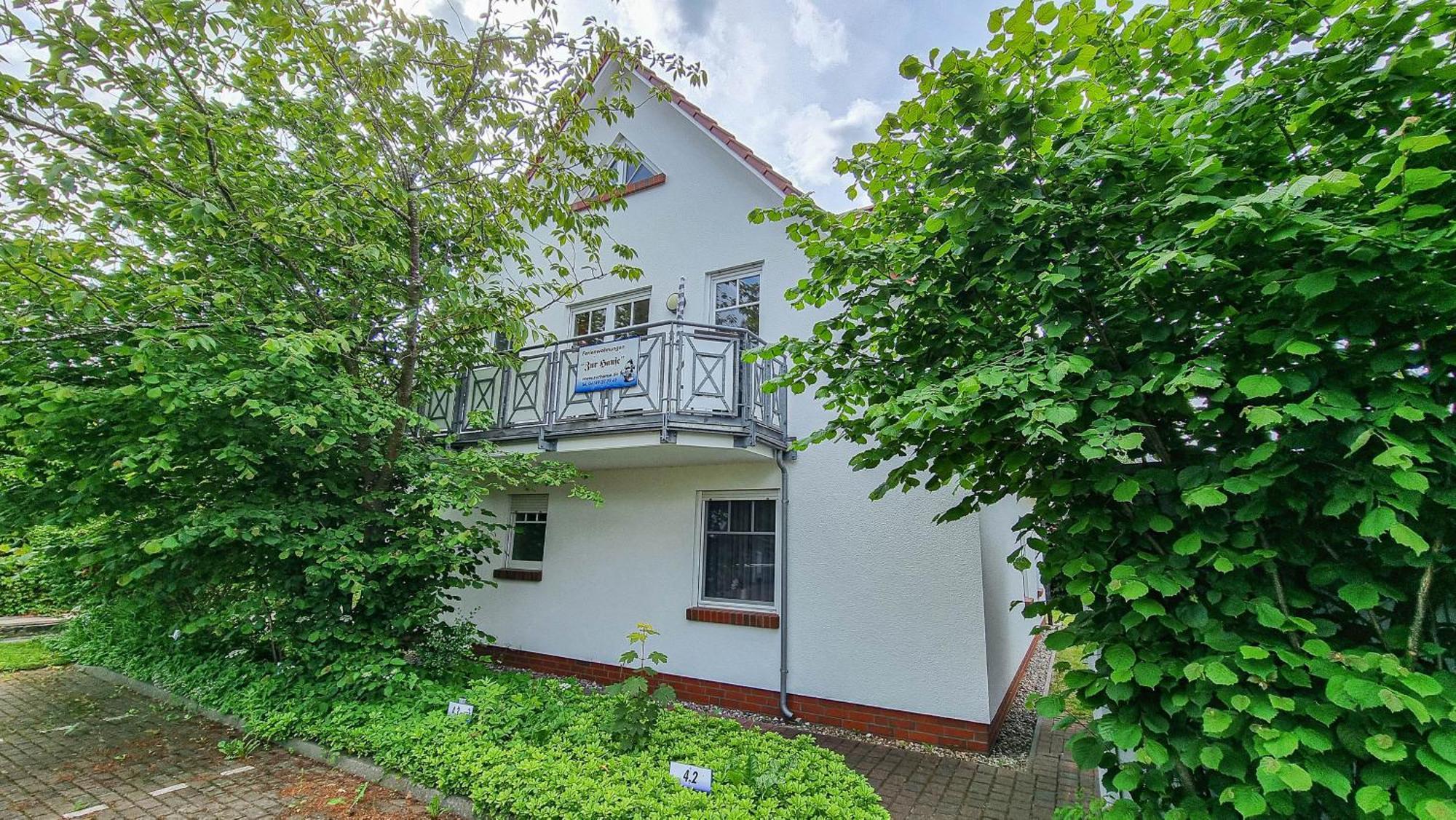 Zur Hanse Wohnung 1 3 - Lingnau 징스트 외부 사진
